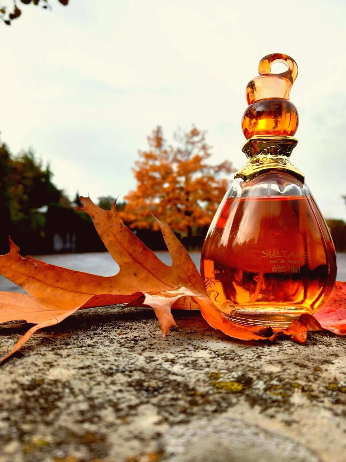 Jeanne Arthes Sultane