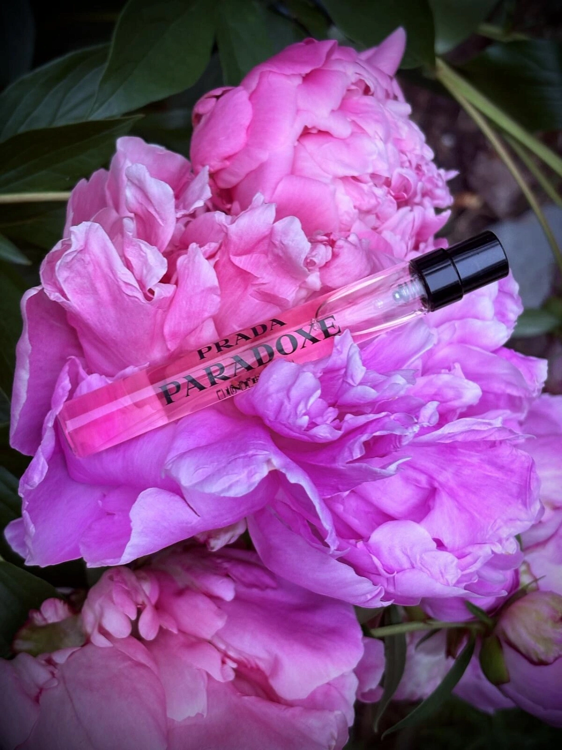Prada Paradoxe Intense