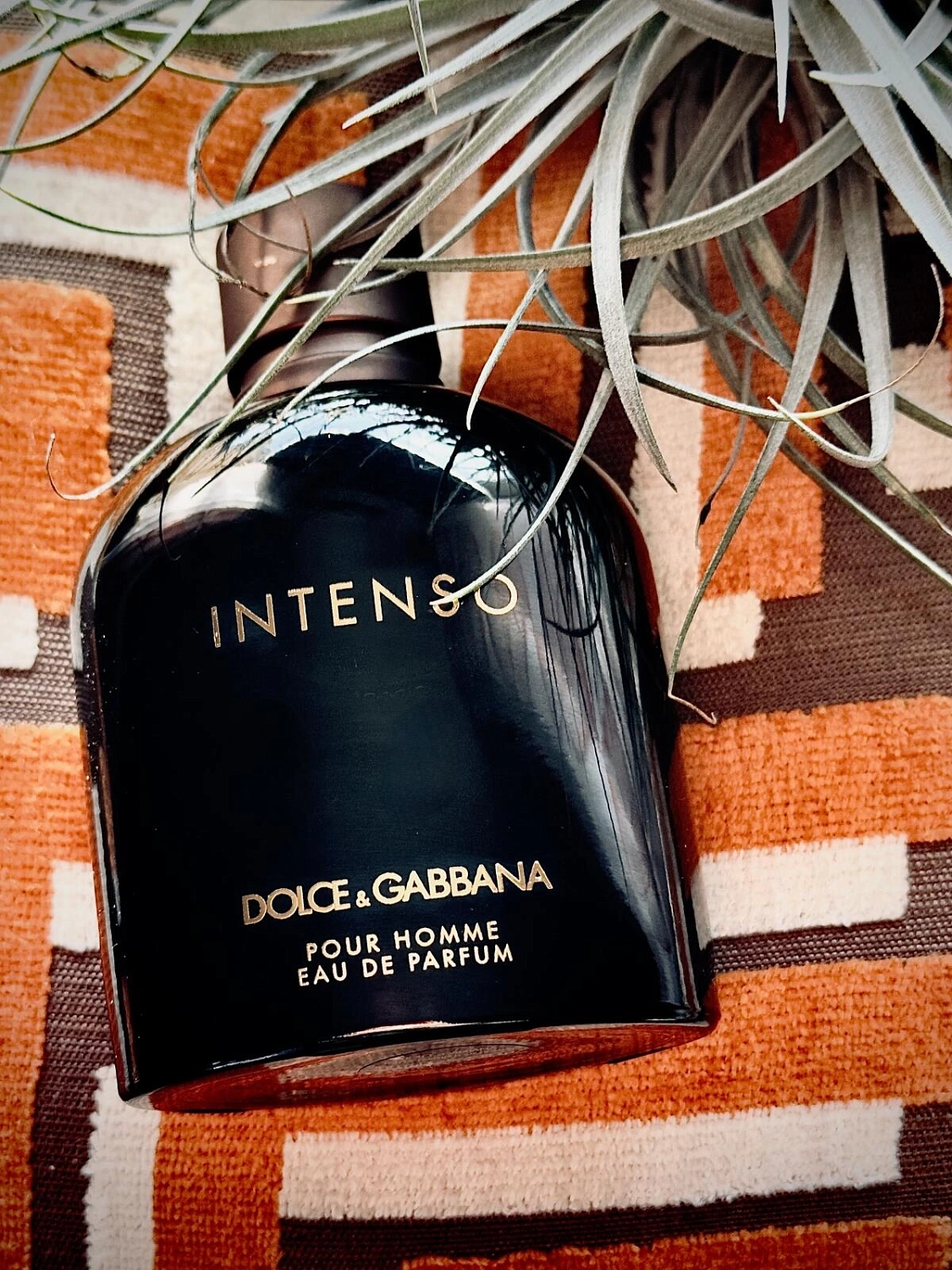 DOLCE & GABBANA Dolce&Gabbana Pour Homme Intenso