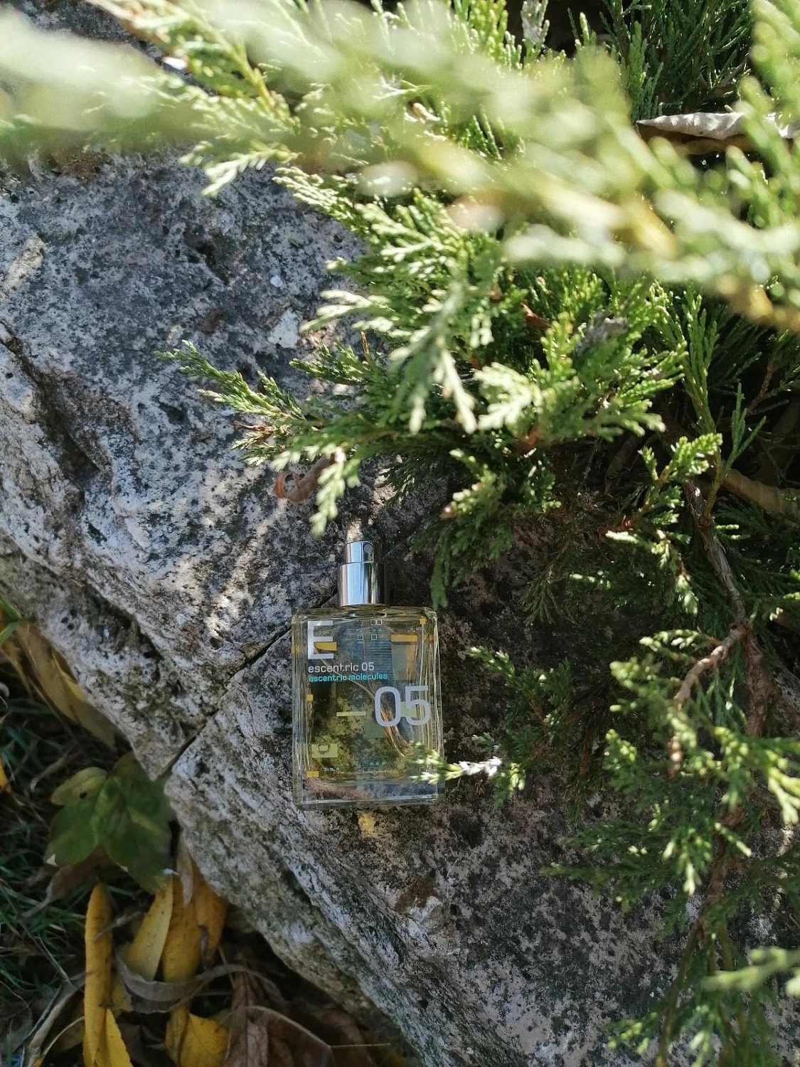 Escentric Molecules Escentric 05