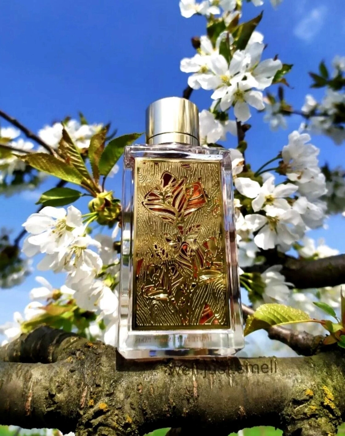 Lancôme Roses Berberanza