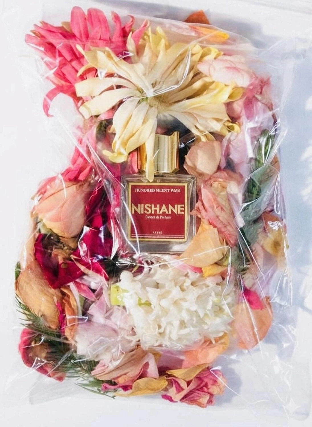 NISHANE X Hundred Silent Ways