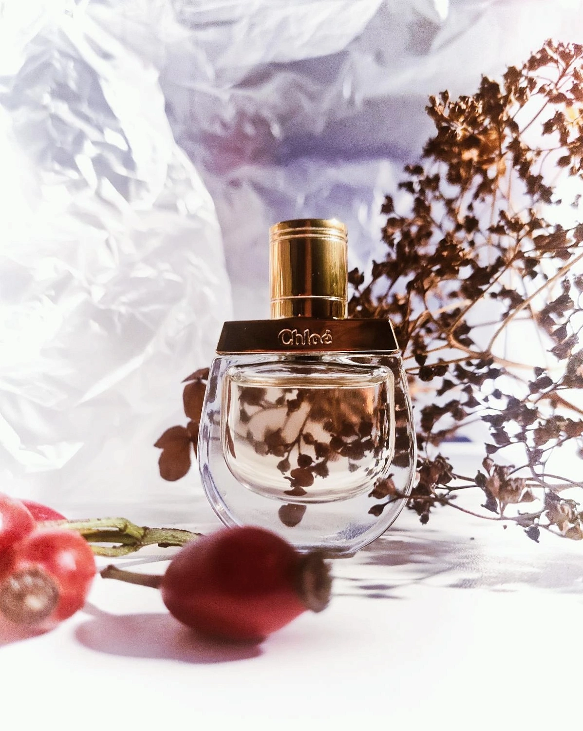 Chloe Nomade Jasmin Naturel Intense