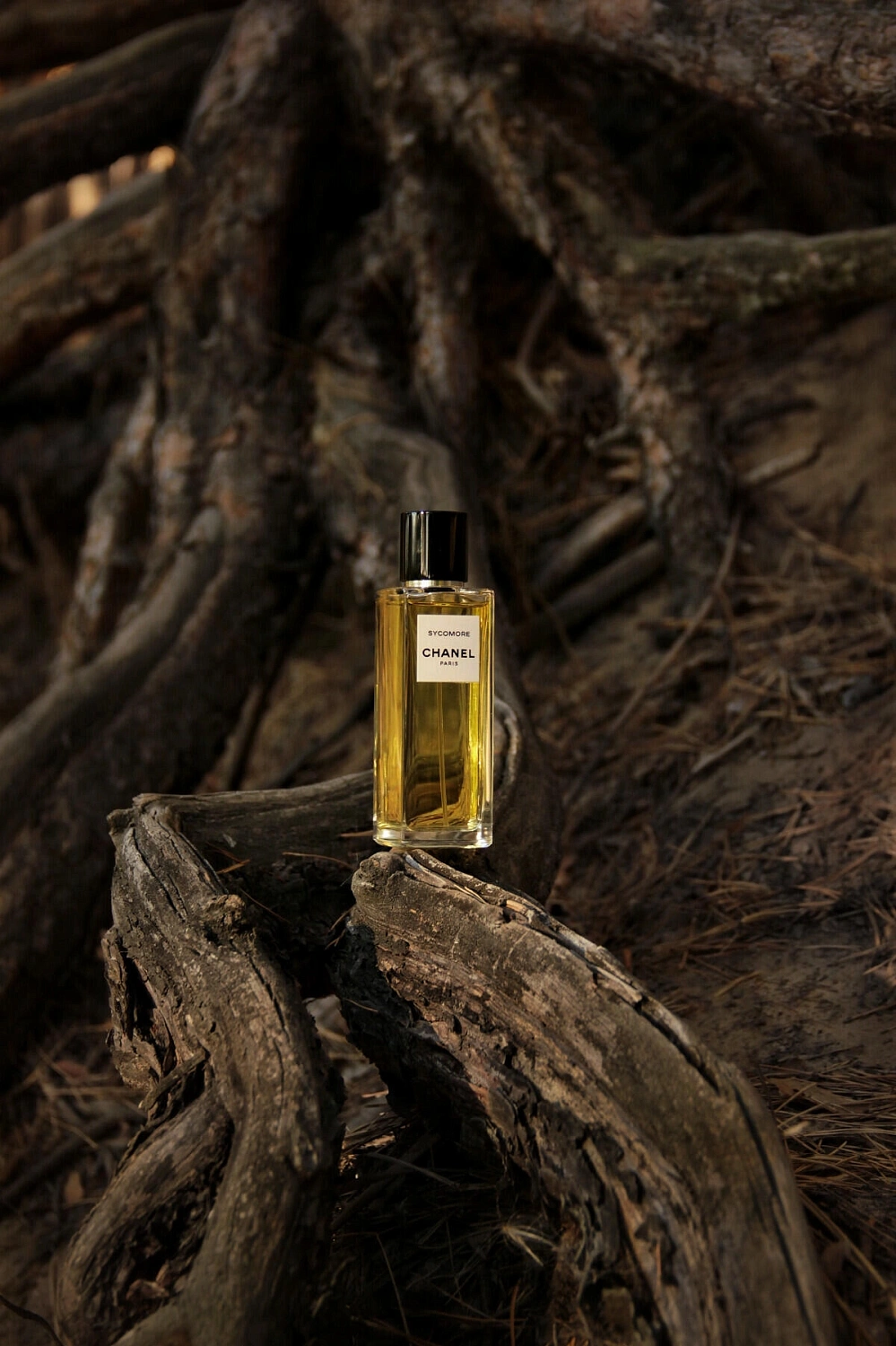 Chanel Sycomore Eau de Parfum 2016 Chanel Sycomore Eau de Parfum 2016