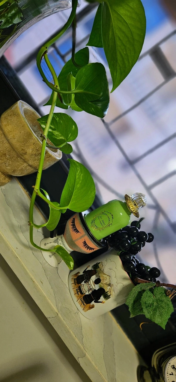 Reminiscence Heliotrope