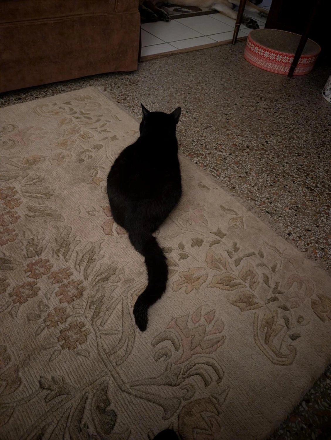 Juliette Has A Gun Not A Perfume Superdose