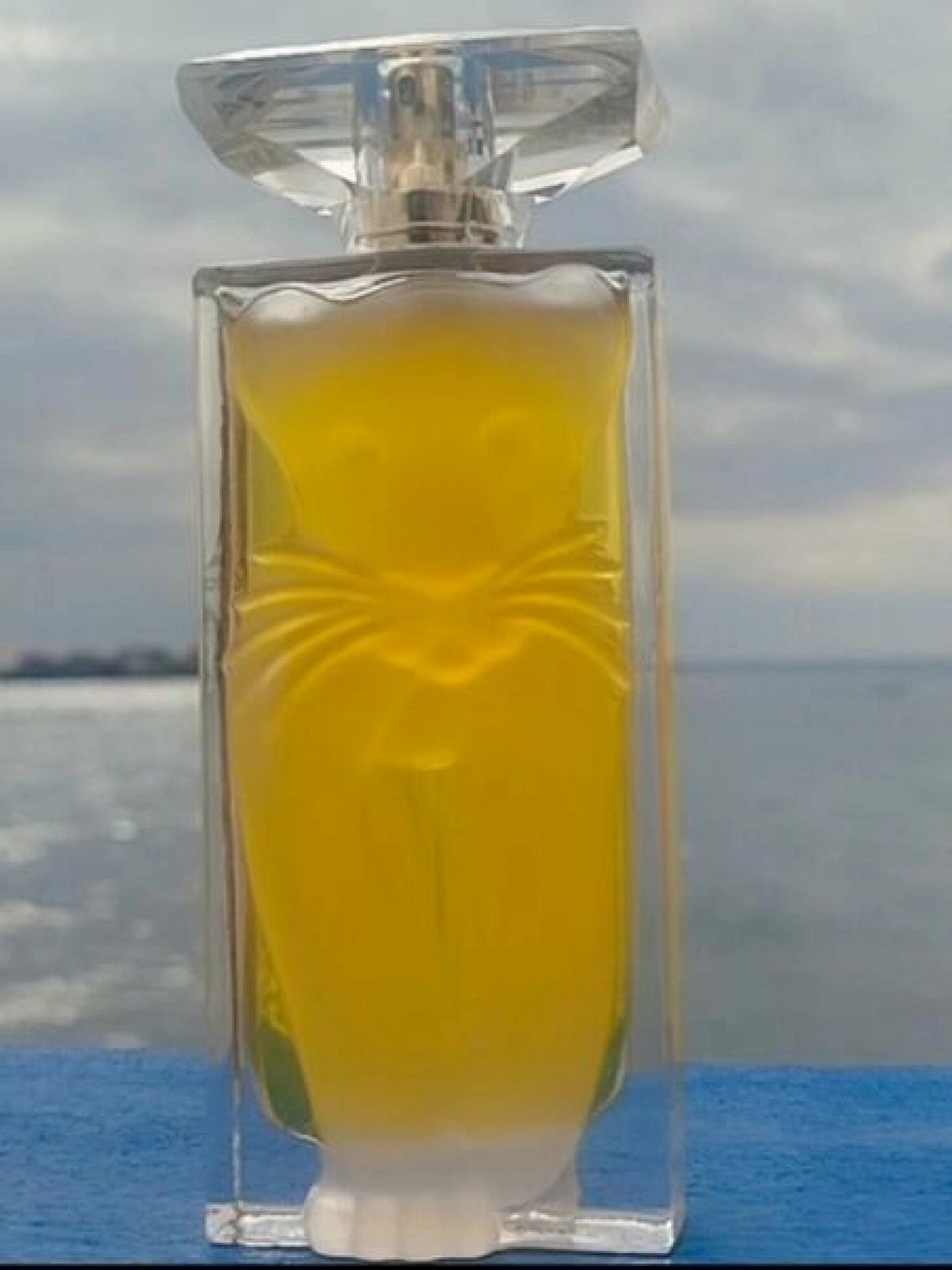 Salvador Dalí La Belle et l'Ocelot