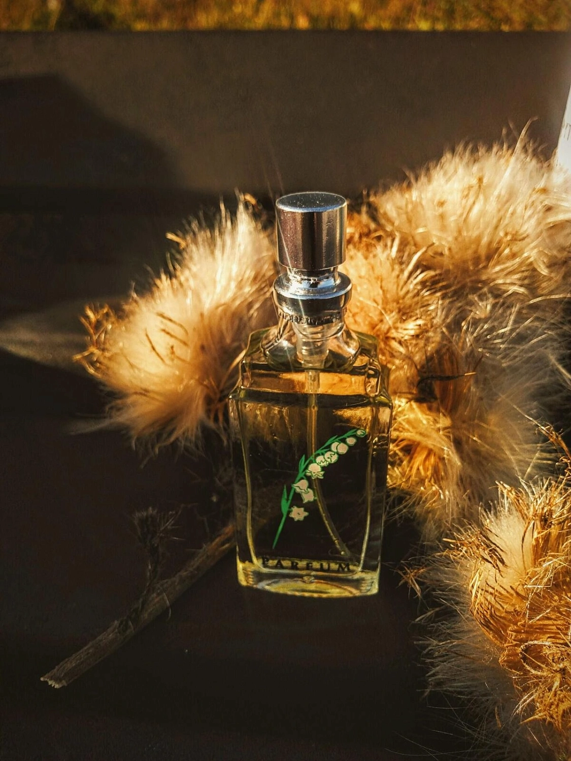 Novaya Zarya (Новая Заря) Ландыш Серебристый (Muguet Argentе)