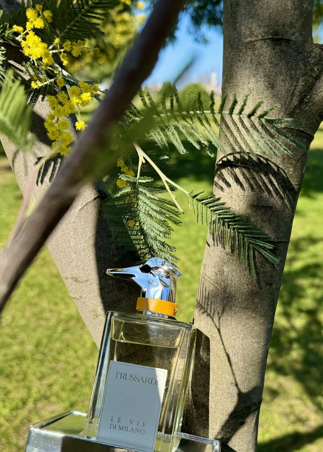 TRUSSARDI Walking On Via Fiori Oscuri