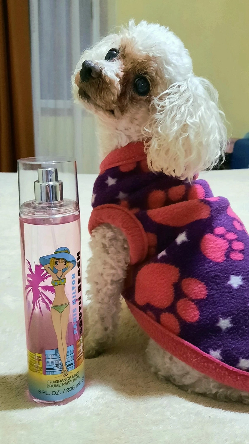 Paris Hilton Passport South Beach