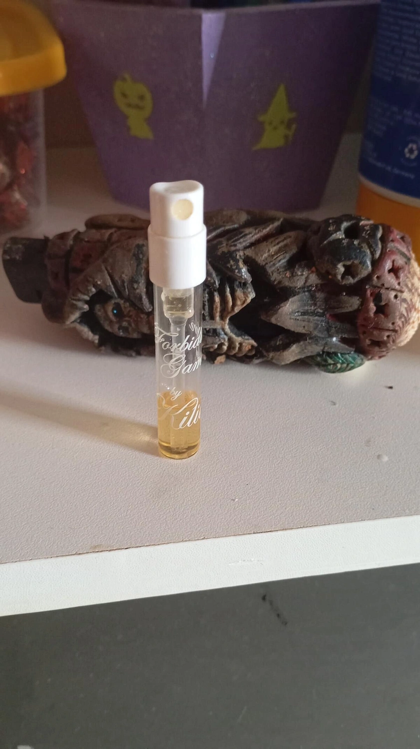 By Kilian Forbidden Games