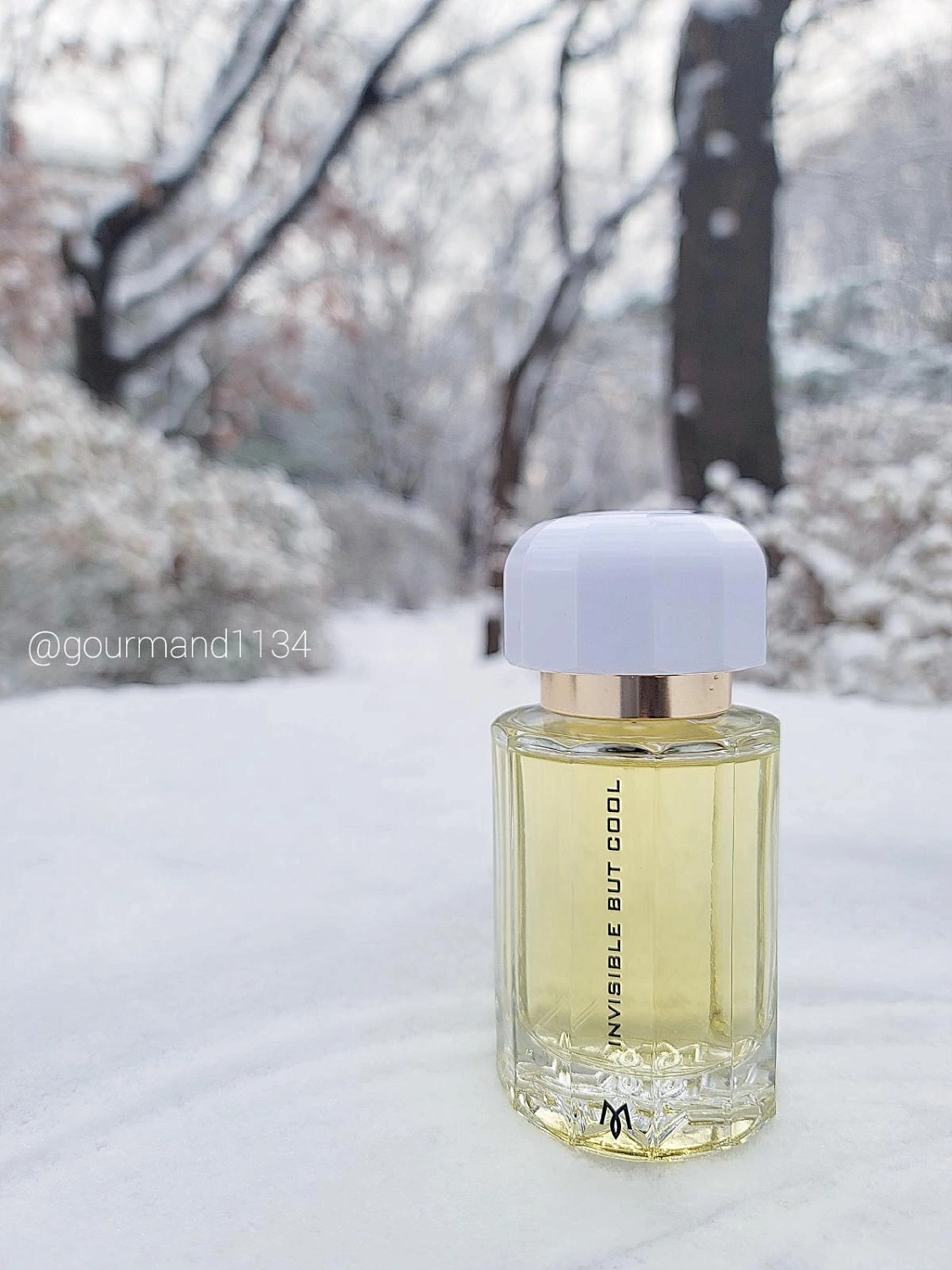 Ramon Monegal Invisible But Cool