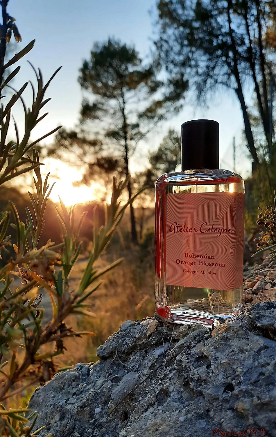 Atelier Cologne Bohemian Orange Blossom