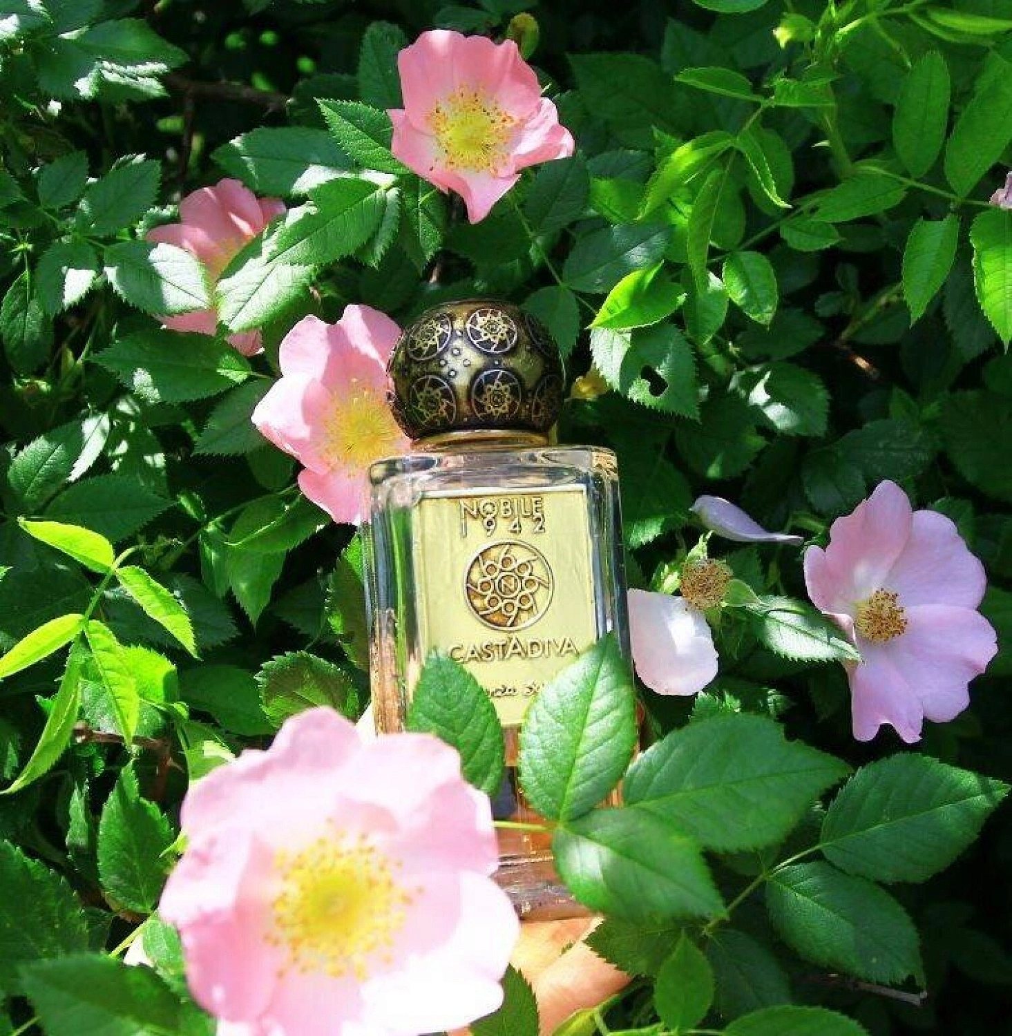 Nobile 1942 Casta Diva