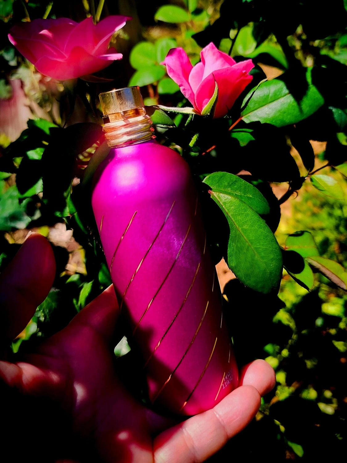 Montale Roses Musk