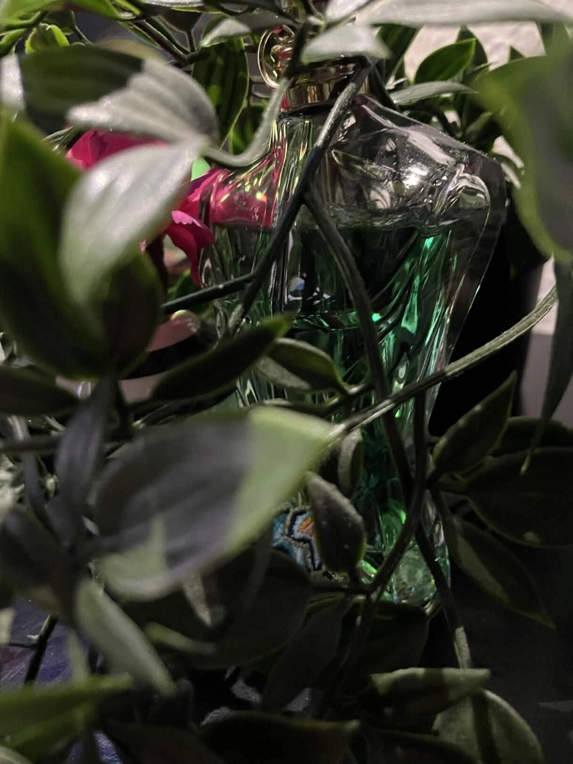 Jean Paul Gaultier Le Beau Paradise Garden