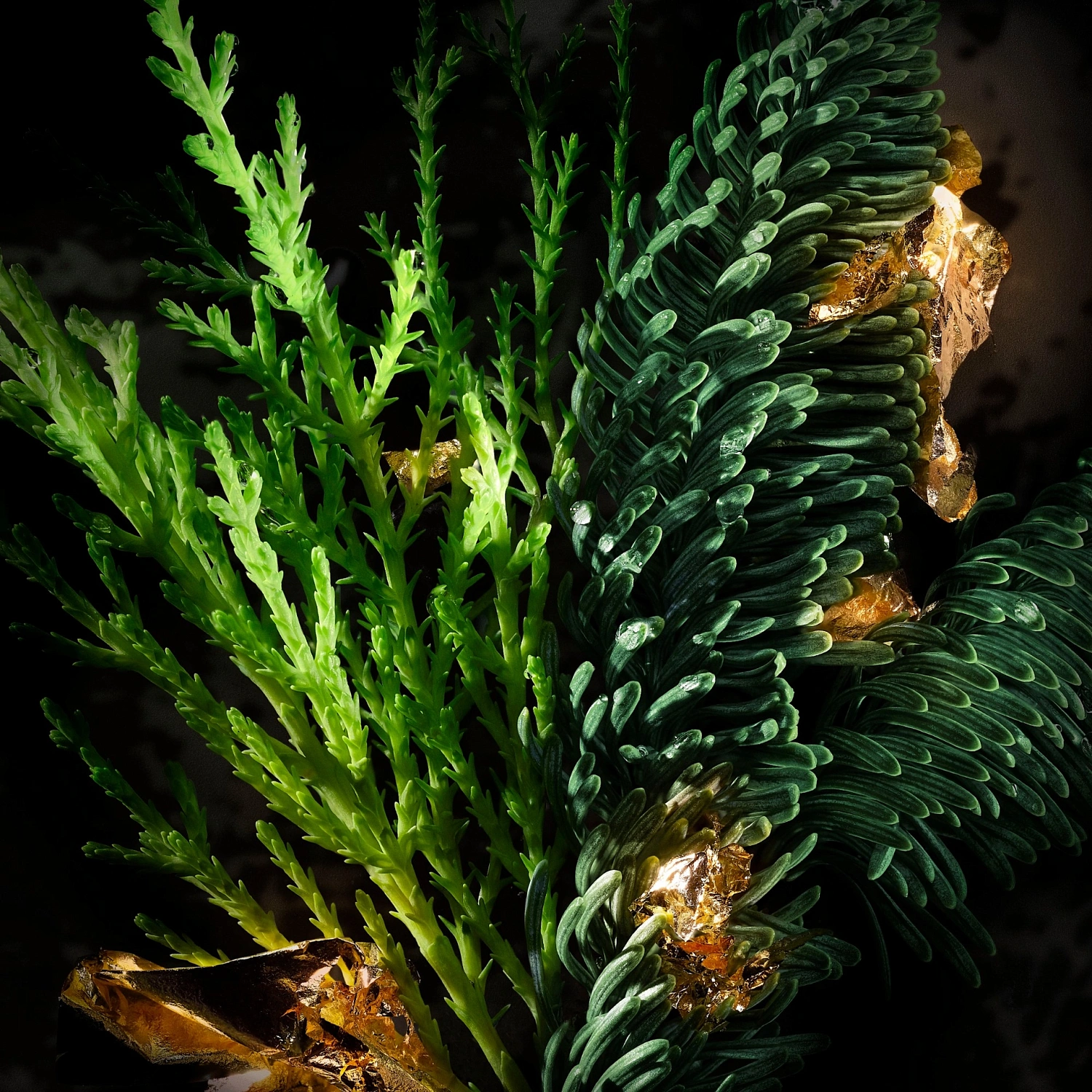 DIESEL Spirit Of The Brave