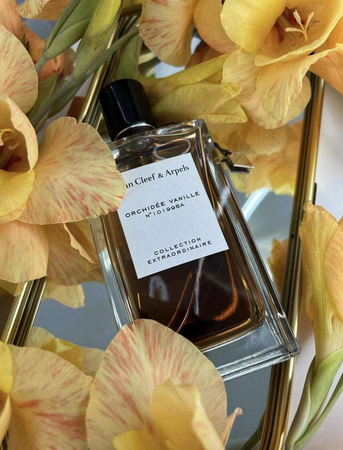 Van Cleef & Arpels Collection Extraordinaire Orchidee Vanille