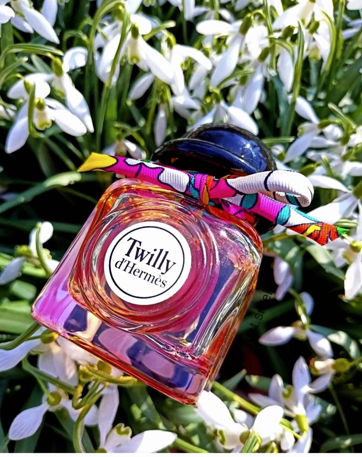 Twilly d'Hermès