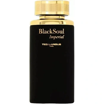 Ted Lapidus Black Soul Imperial туалетная вода, 100 мл тестер Ted Lapidus Black Soul Imperial туалетная вода, 100 мл тестер