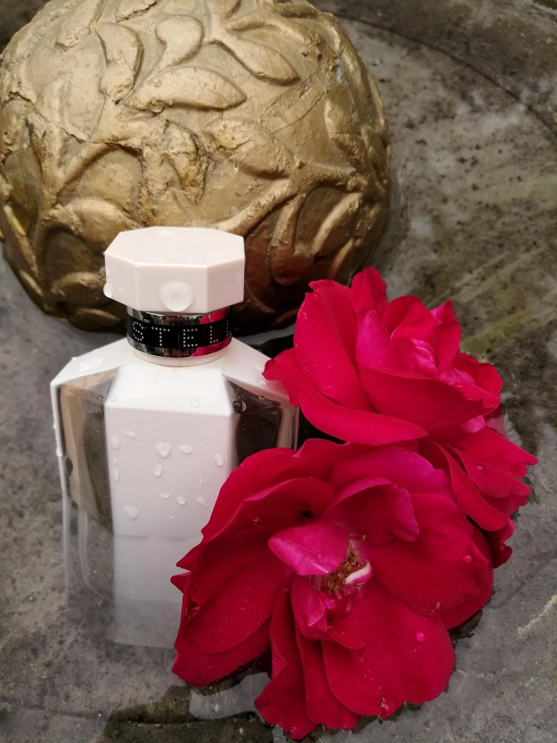 Stella McCartney Stella Nude