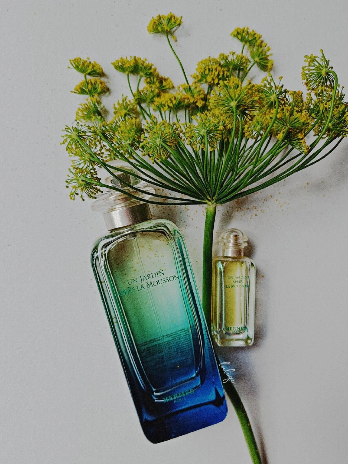 Hermes Un Jardin Apres La Mousson