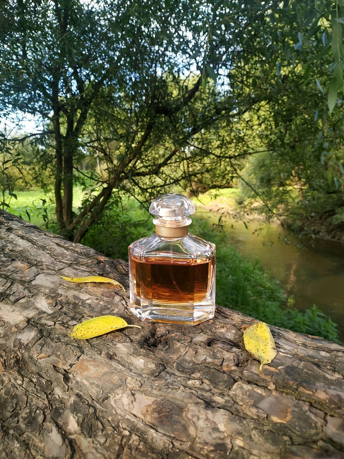 Mon Guerlain Prestige Edition