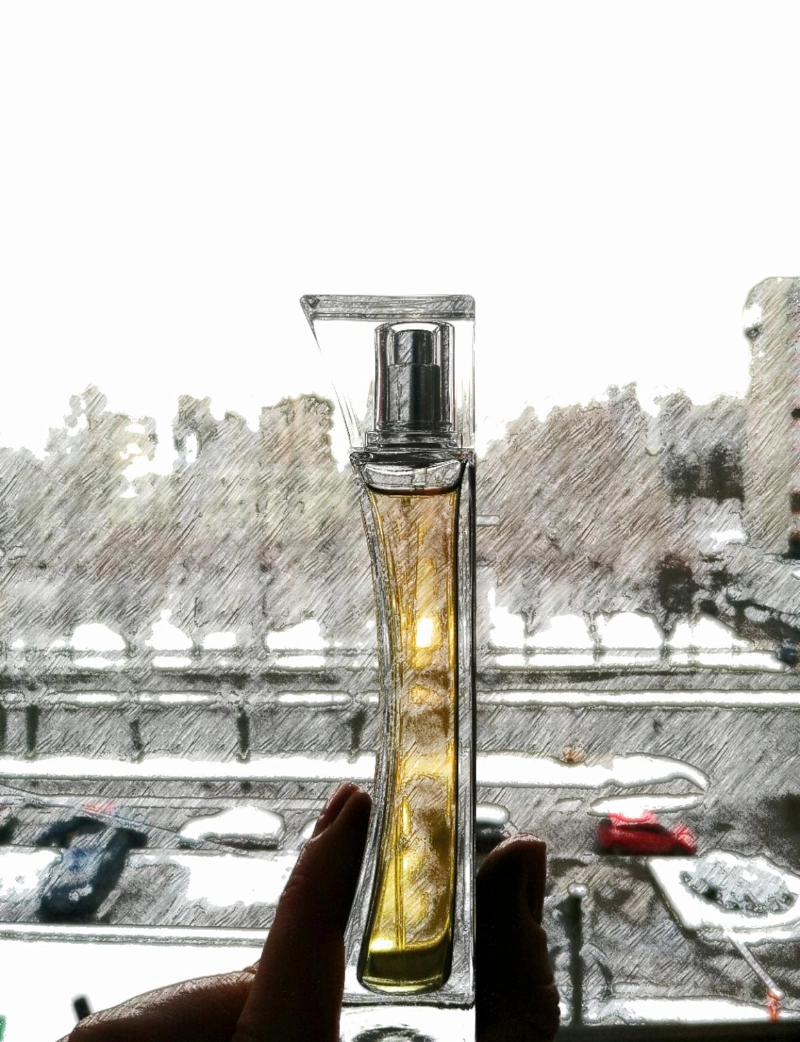 Elizabeth Arden Provocative Women