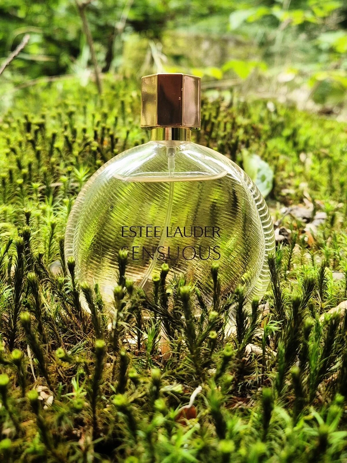 Estee Lauder Sensuous