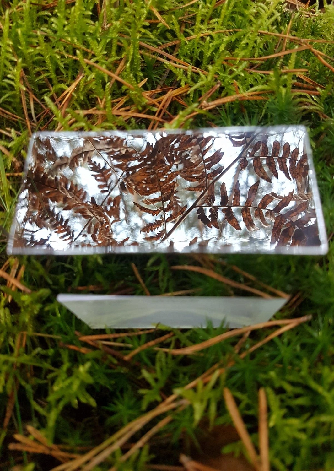 MICHAEL KORS Sheer 2017