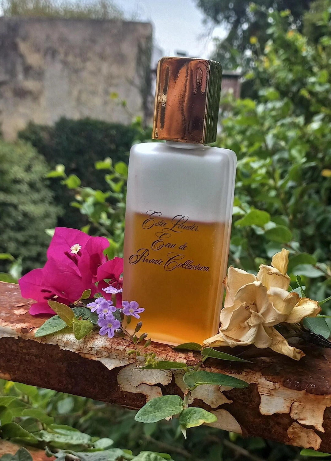 Estee Lauder Private Collection