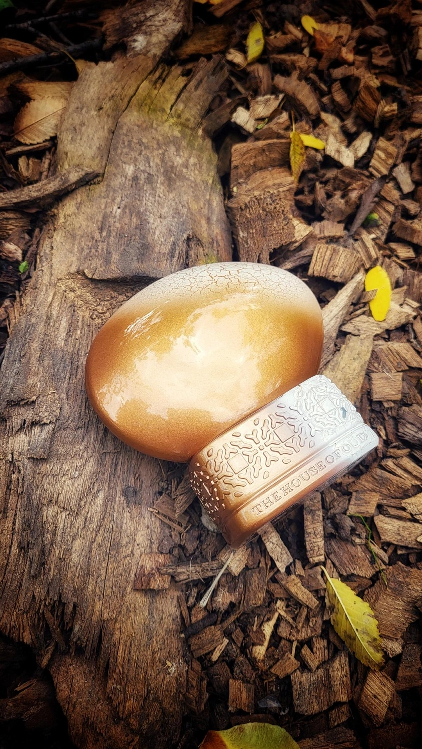 The House of Oud Wonderly