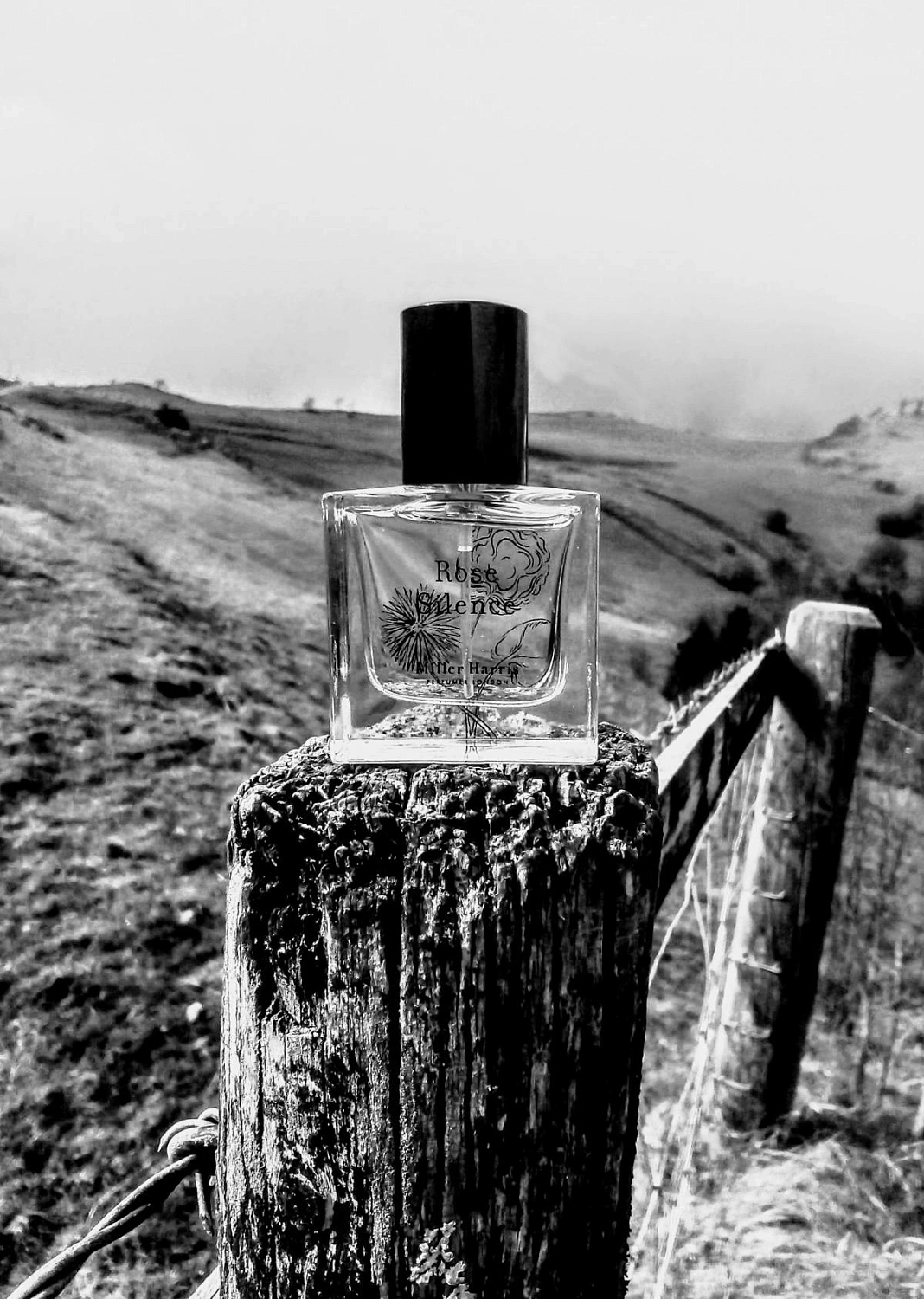 Miller Harris Rose Silence