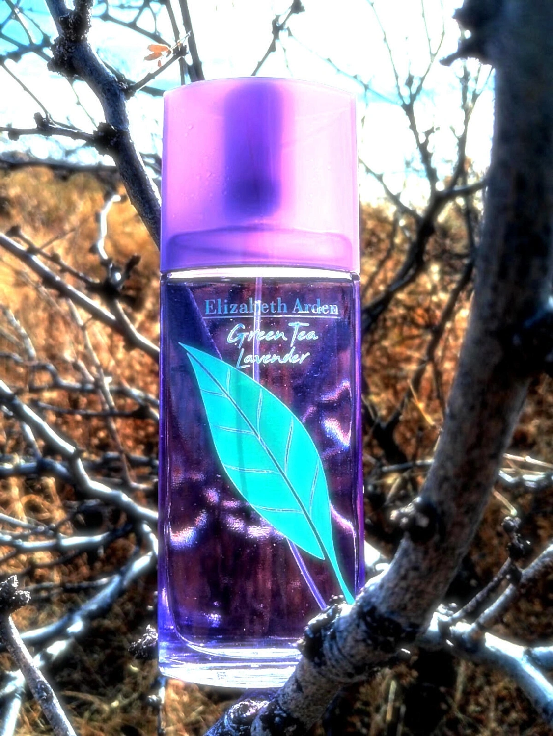 Elizabeth Arden Green Tea Lavender