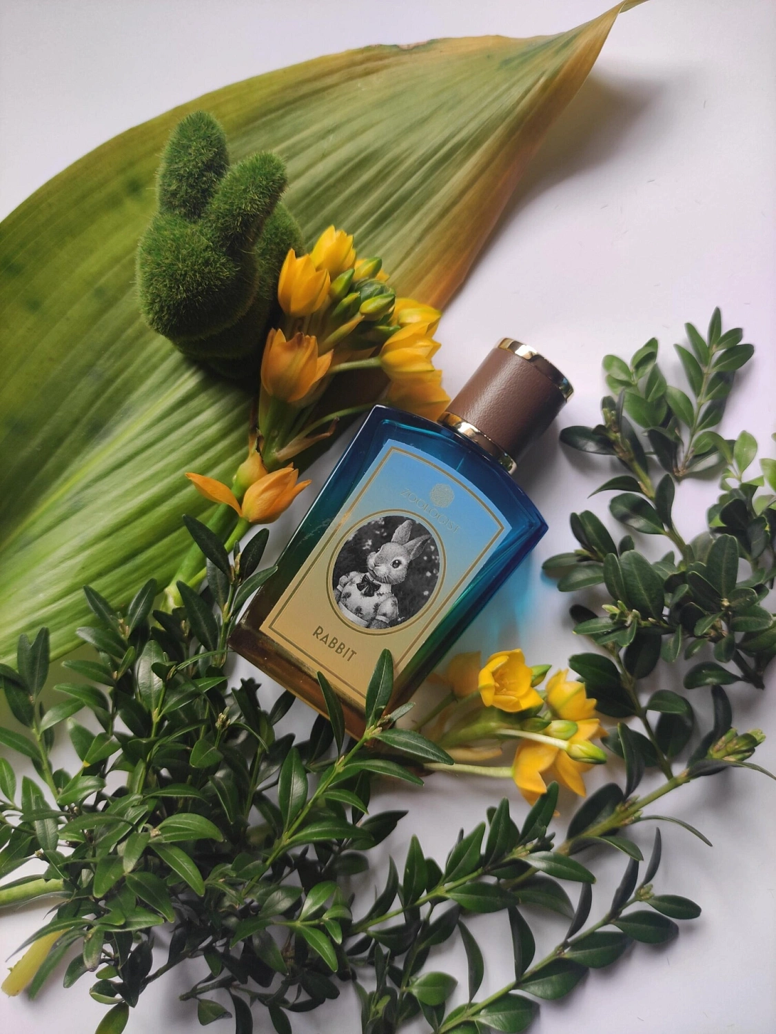 Zoologist Perfumes Rabbit