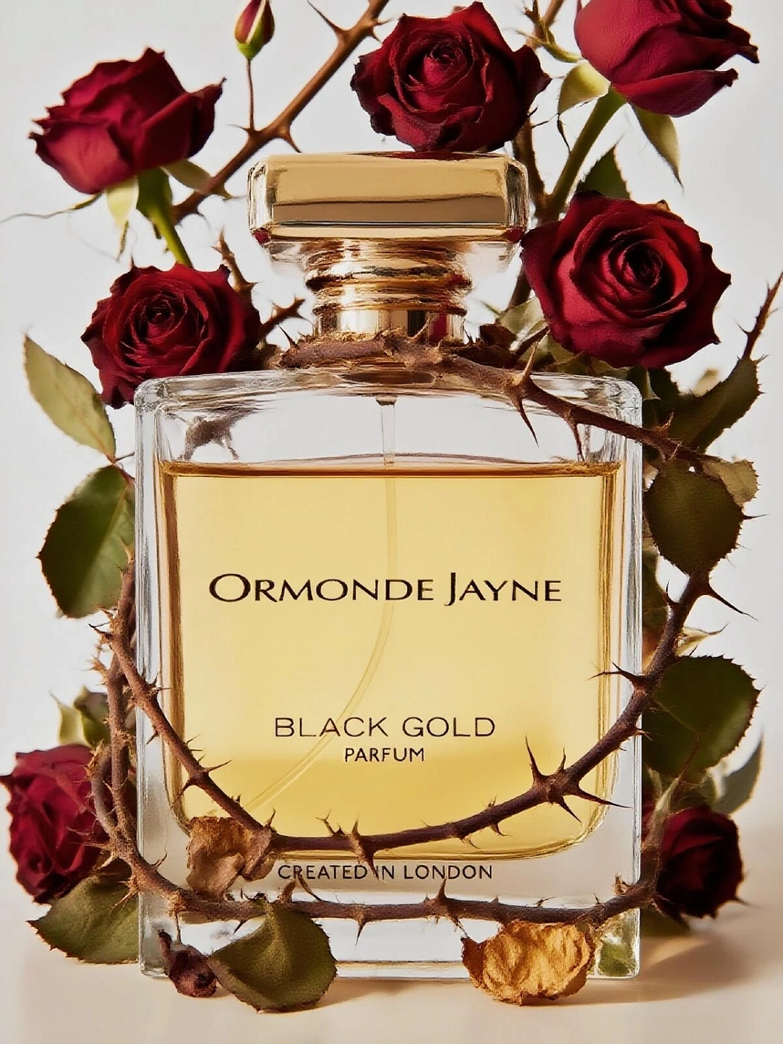 Ormonde Jayne Black Gold