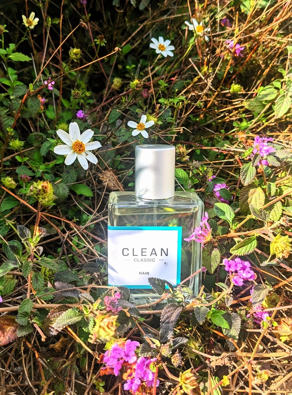 Clean Classic Rain Clean Classic Rain