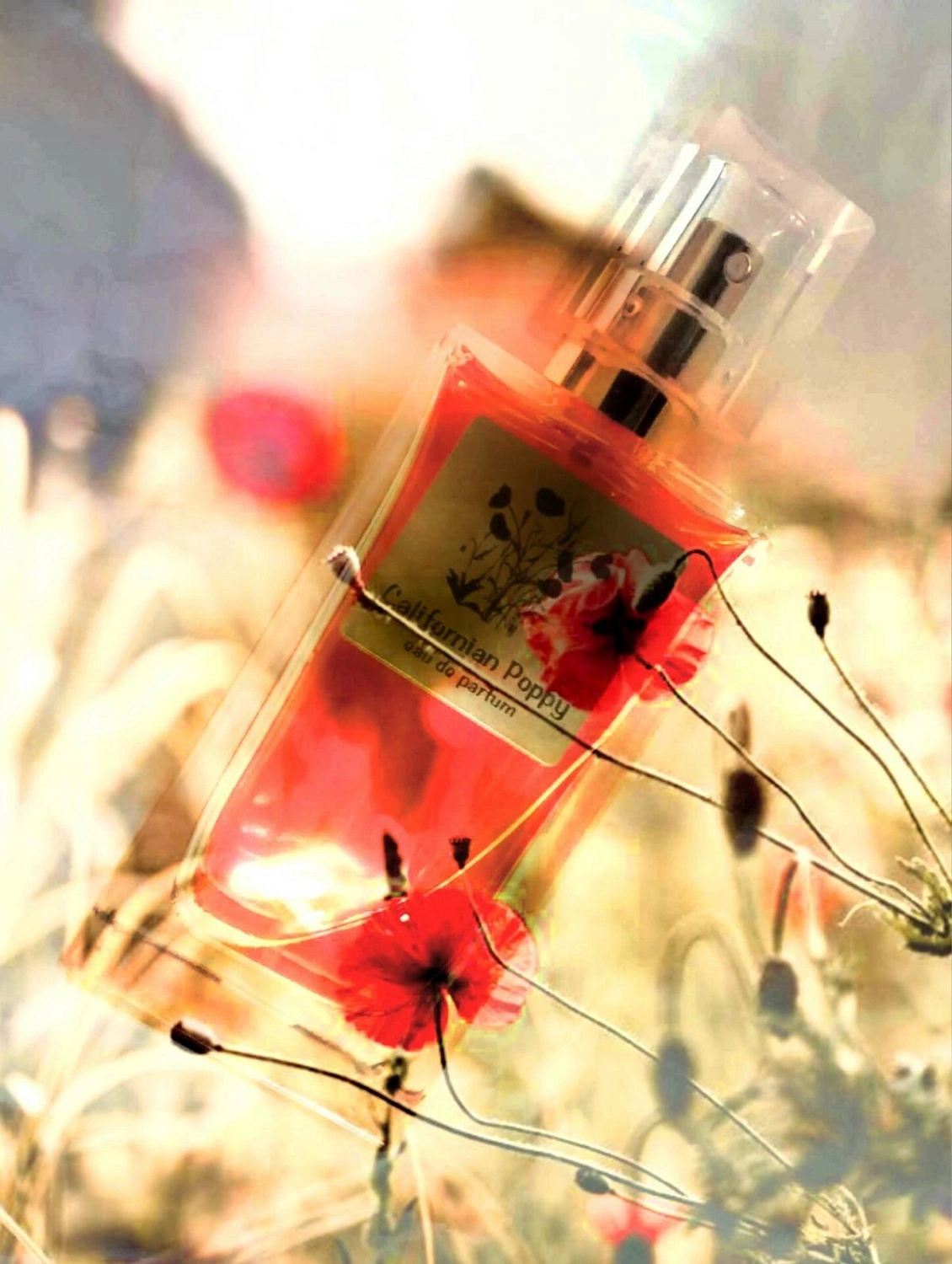 Atkinsons of London Californian Poppy Atkinsons of London Californian Poppy