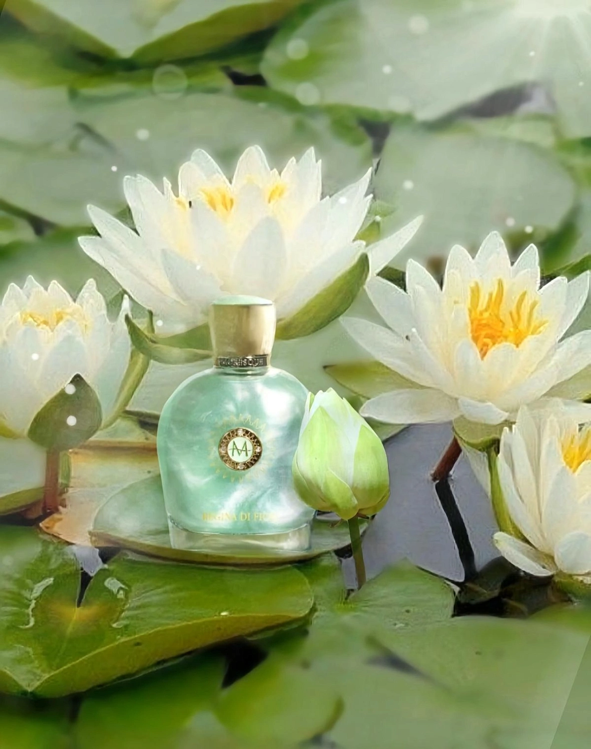 Moresque Regina Di Fiori