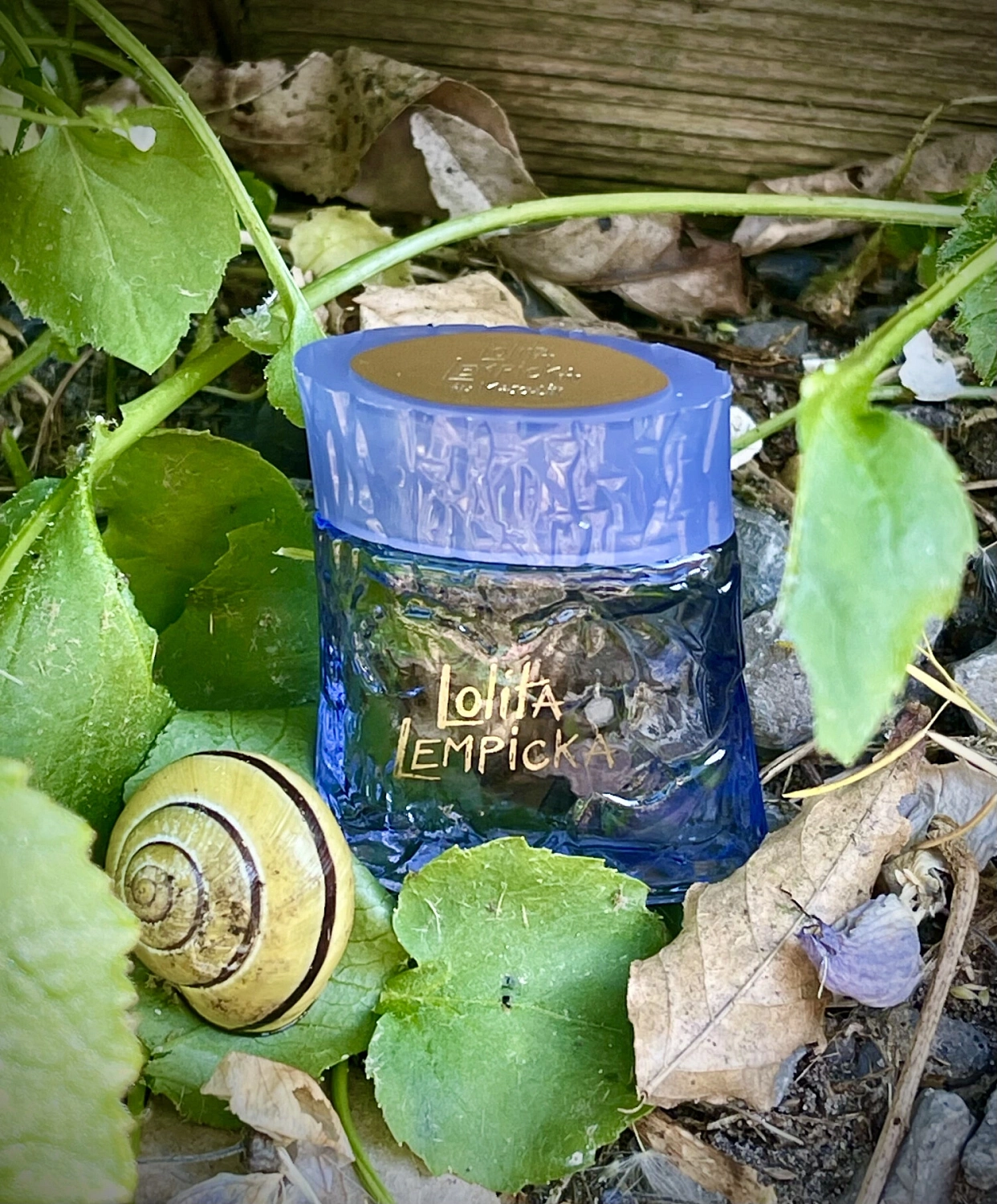 Lolita Lempicka Au Masculin