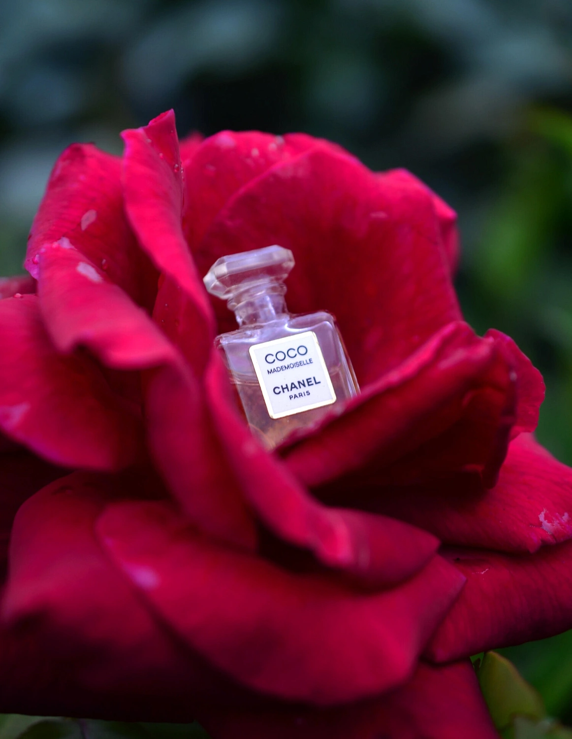 Chanel Coco Mademoiselle