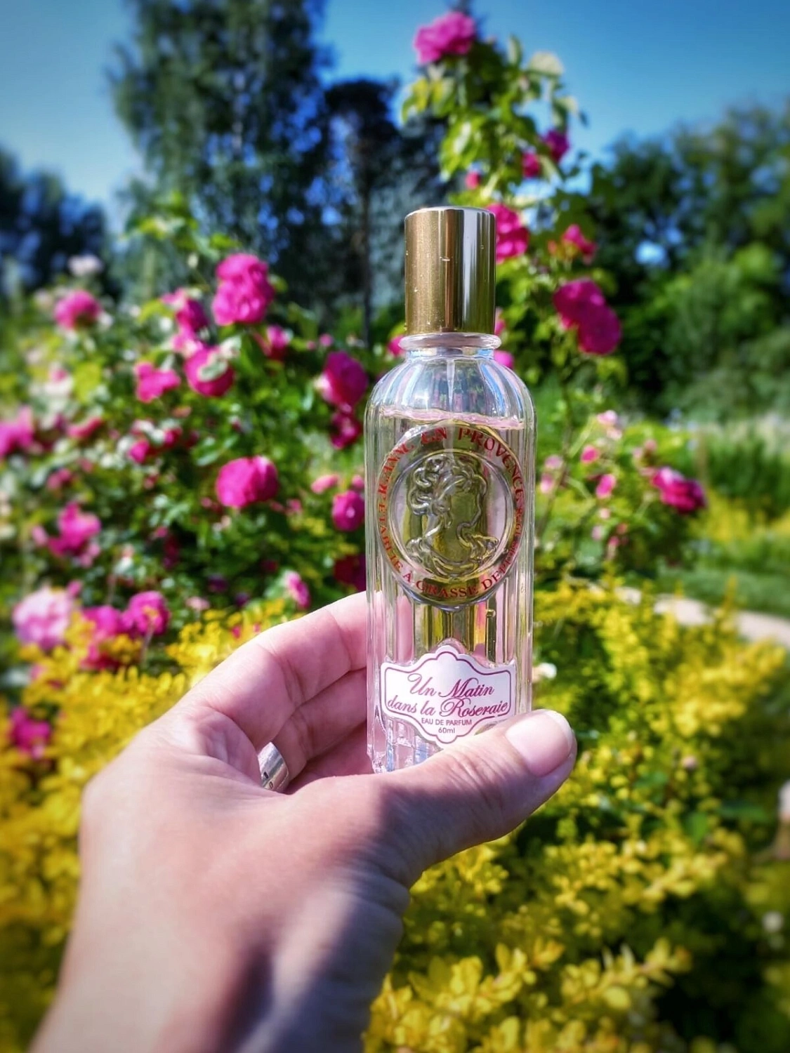 Jeanne en Provence Un Matin Dans La Roseraie