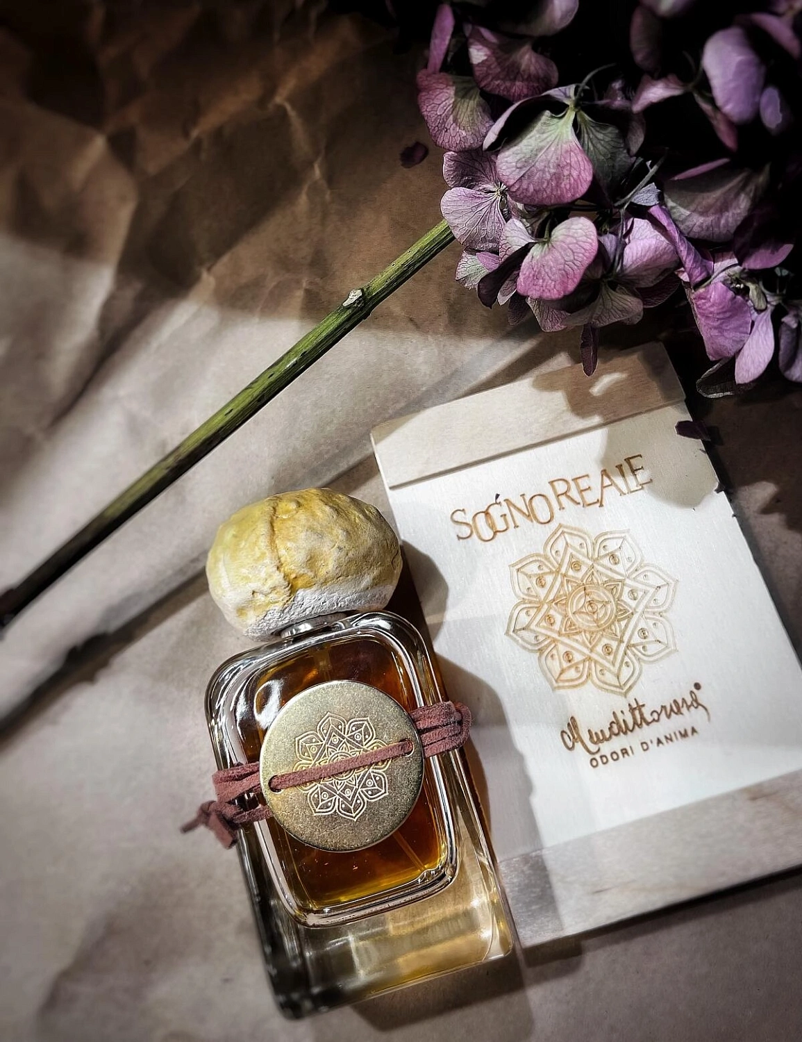 Mendittorosa Sogno Reale