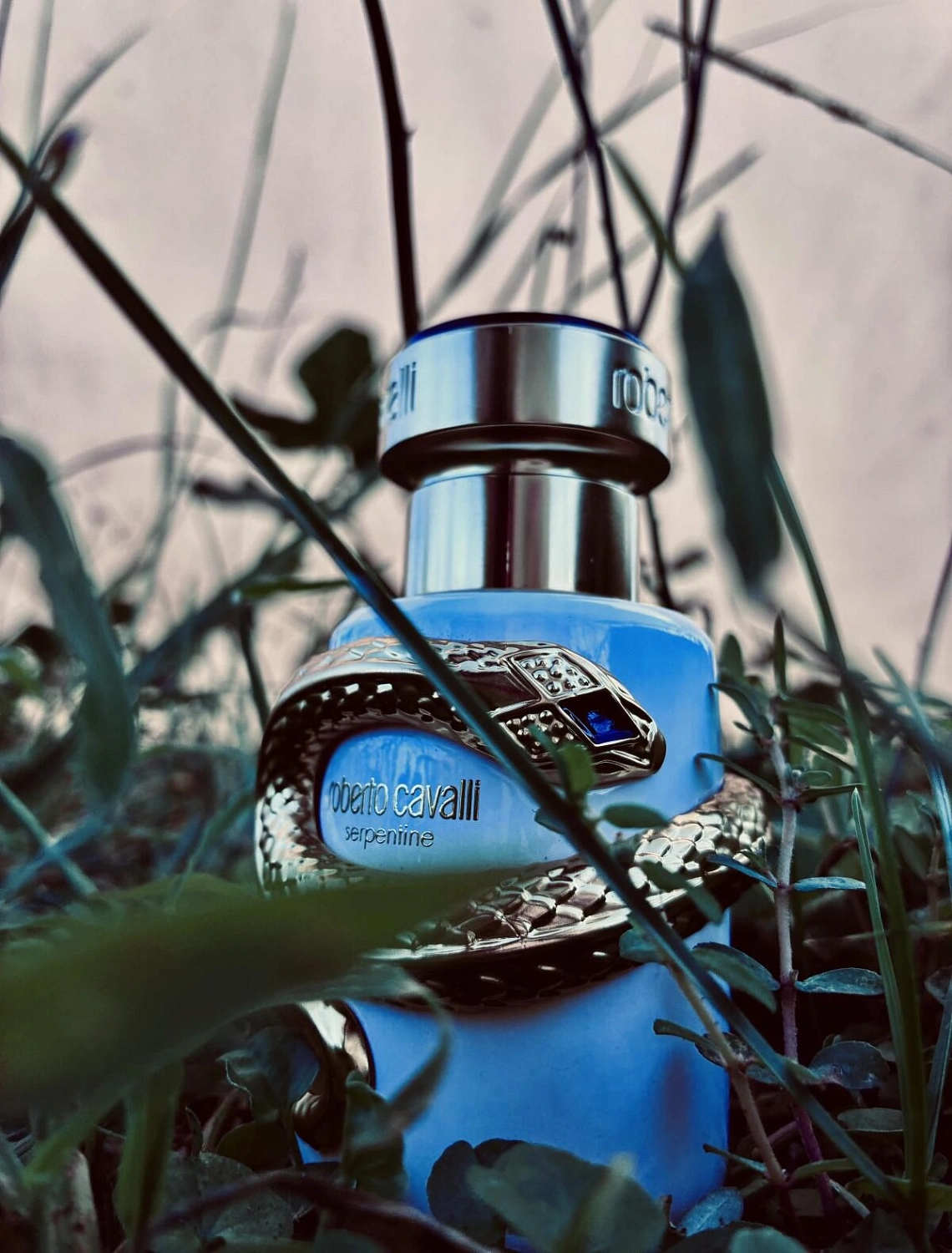 Roberto Cavalli Serpentine 2025