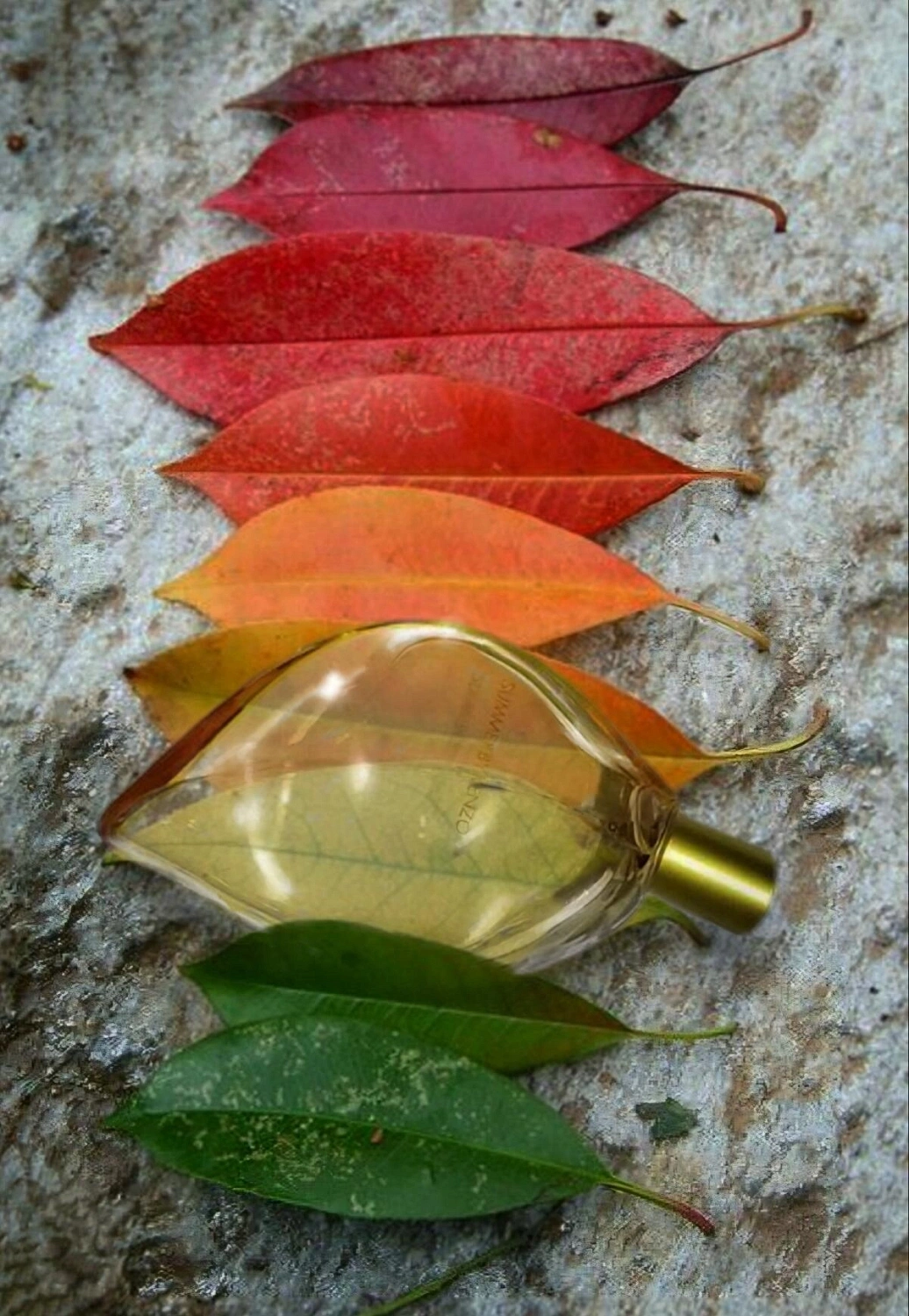 KENZO Parfum D’Ete KENZO Parfum D’Ete