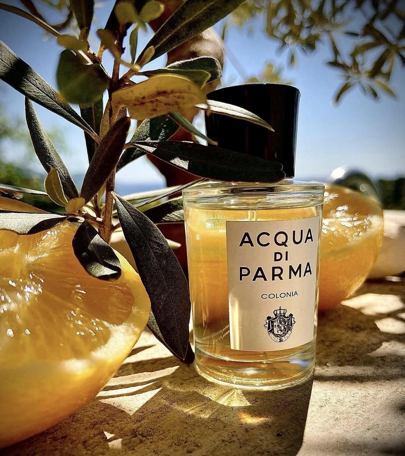 Acqua di Parma Colonia