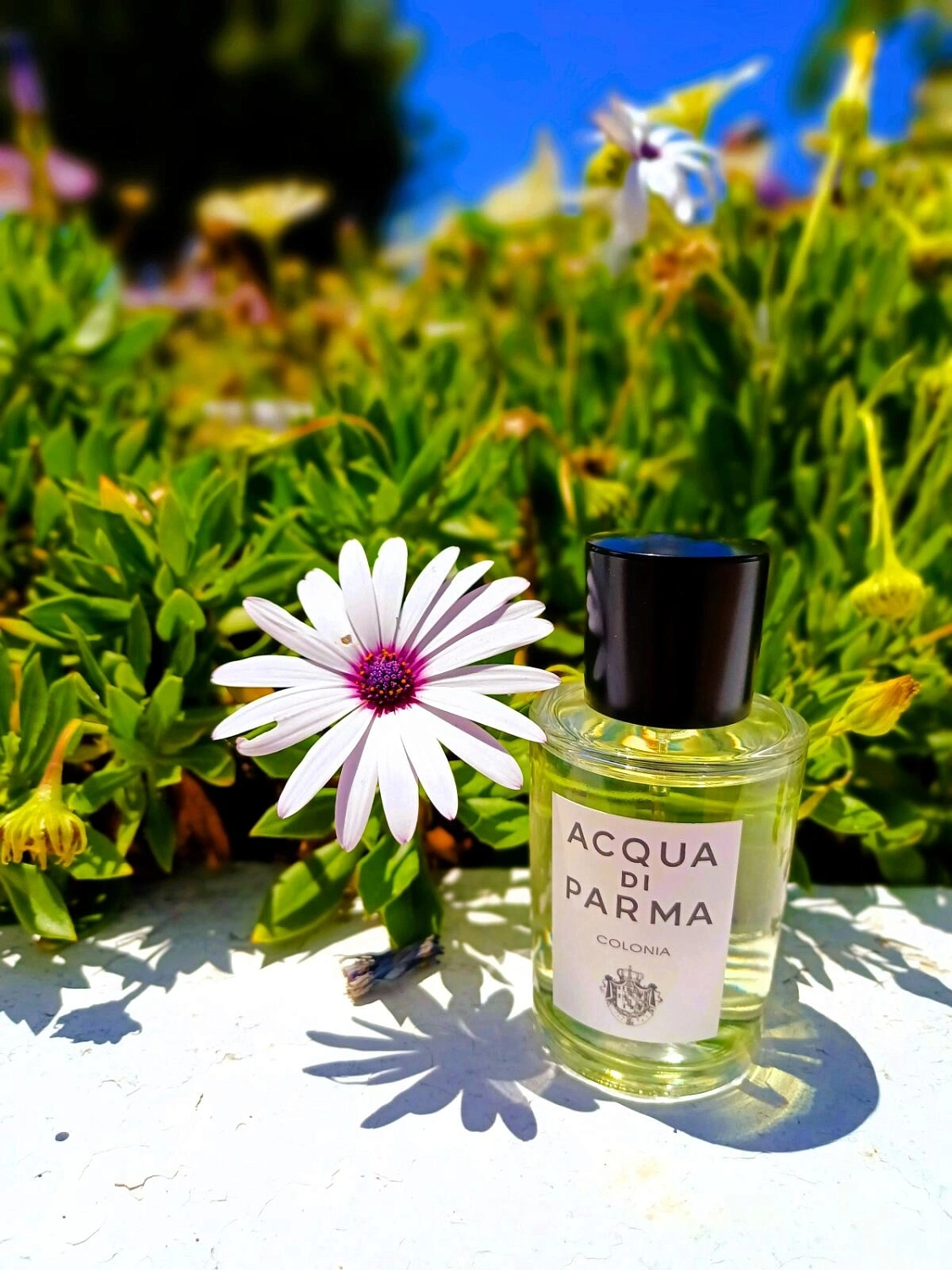 Acqua di Parma Colonia Acqua di Parma Colonia