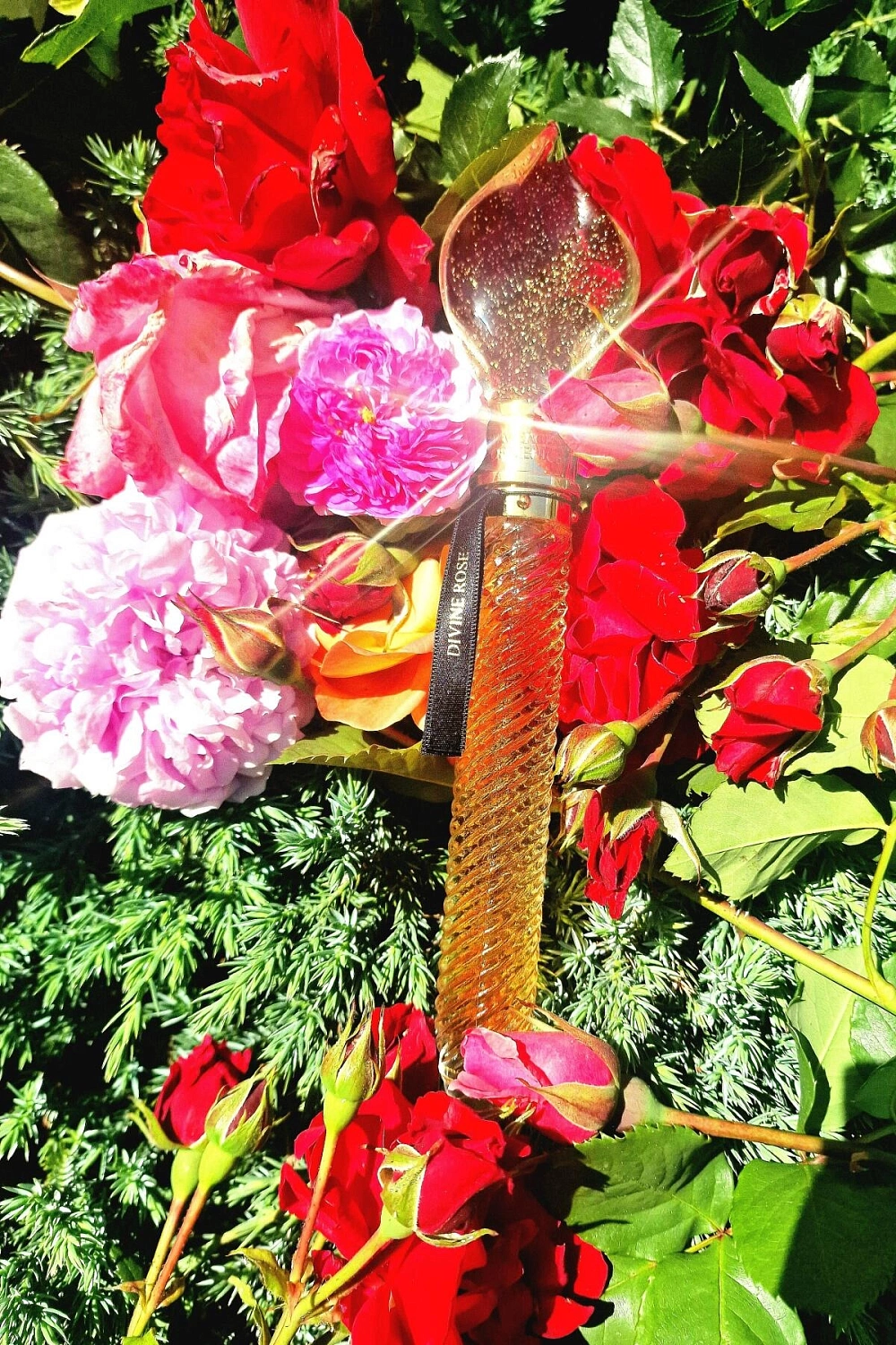 The Merchant of Venice Divine Rose