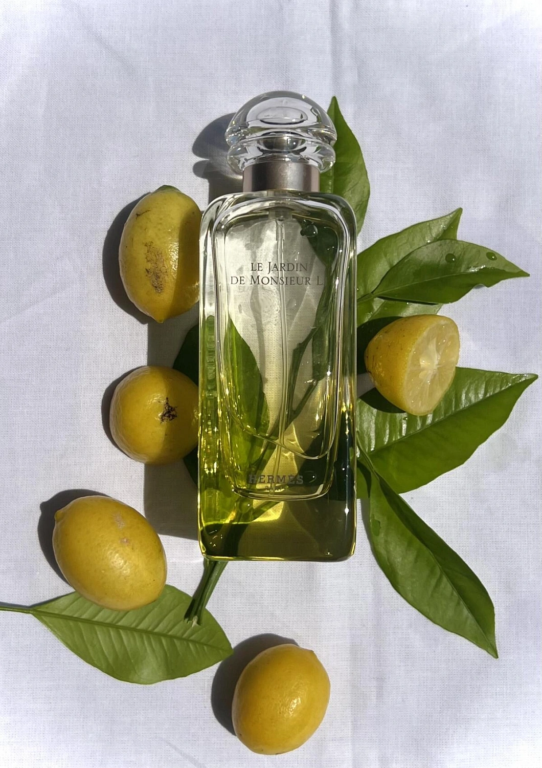 Hermes Le Jardin de Monsieur Li