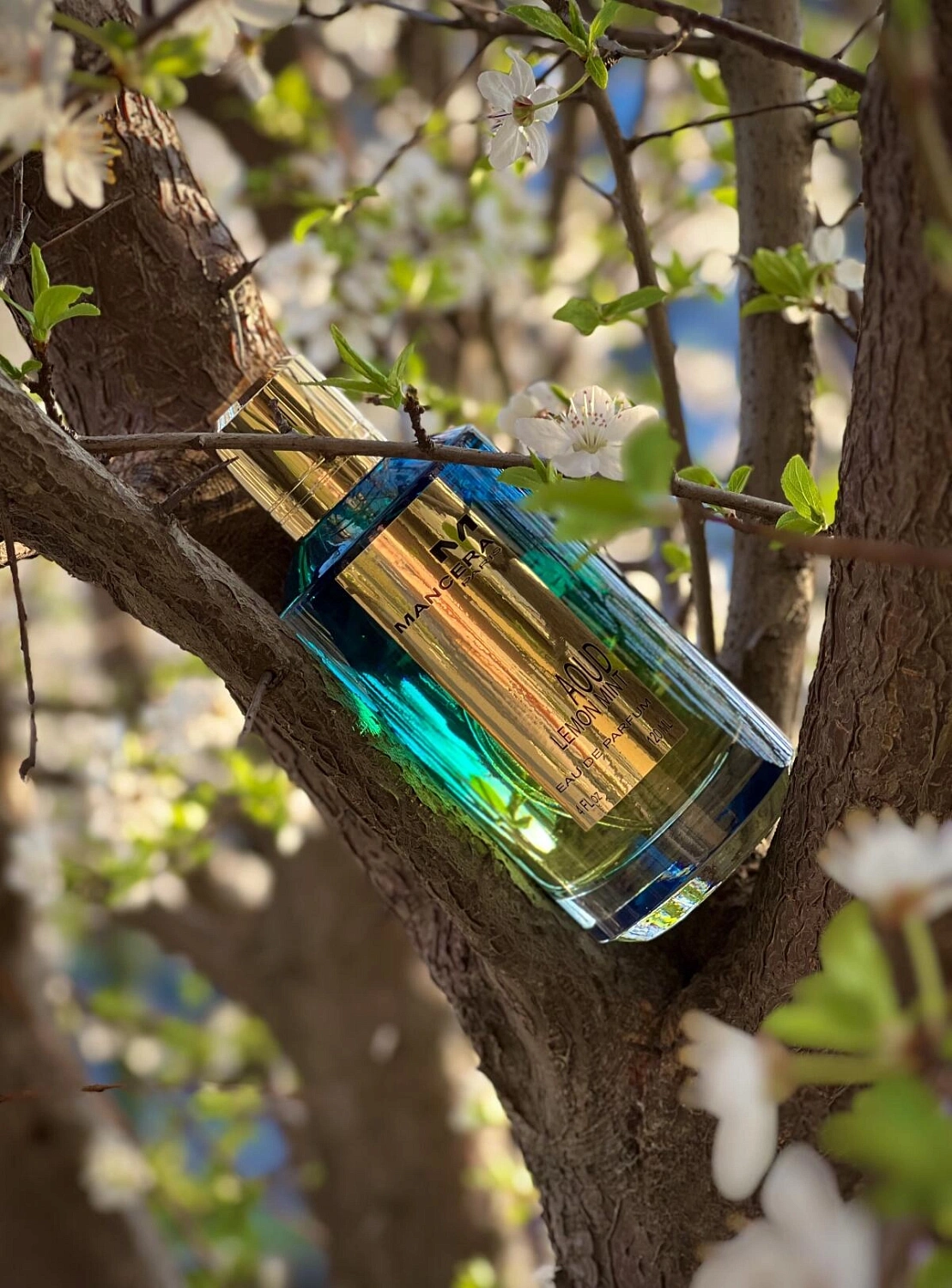 Mancera Aoud Lemon Mint